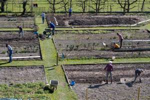 2025.120Gartentag_bruno1_original
