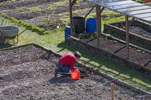 2025.120Gartentag_bruno4_original