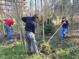 2520120Gartentag208.3201_original