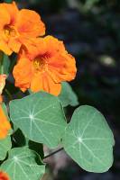 2026_07_13_N_von_Adrian_Muller_0008Web1000_original