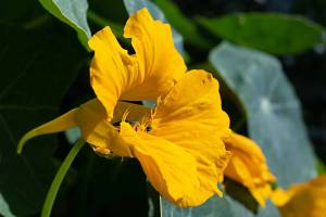 2026_07_13_N_von_Adrian_Muller_0022Web1500_original