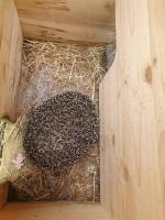 ... eine trockene Kuschelige Hütte.